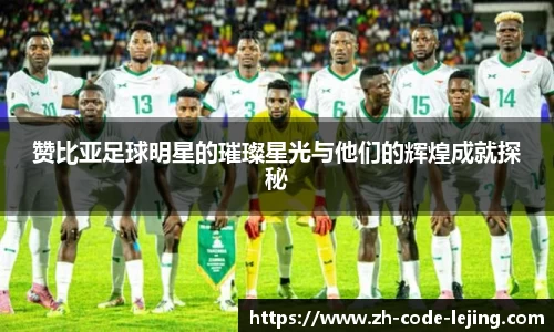 赞比亚足球明星的璀璨星光与他们的辉煌成就探秘
